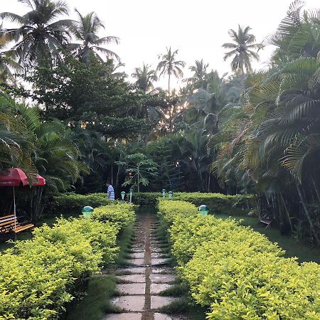 Neptune Point Premium Cottages Palolem Eksteriør billede
